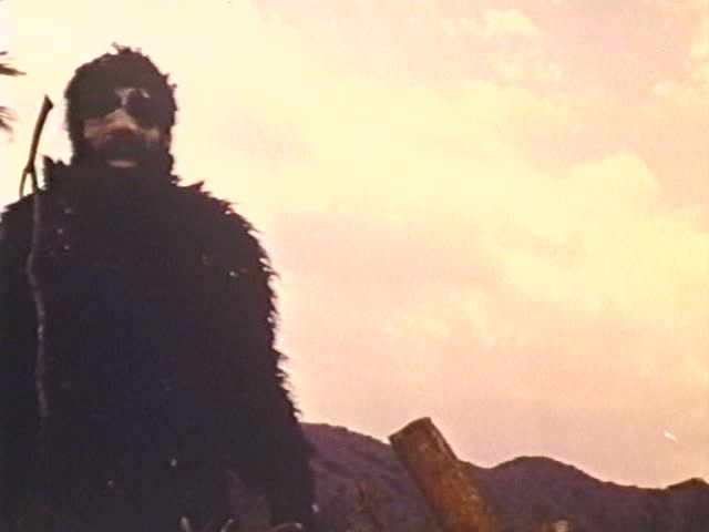 The Beast and the Vixens