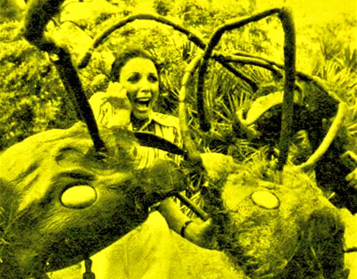 The Empire Of The Ants