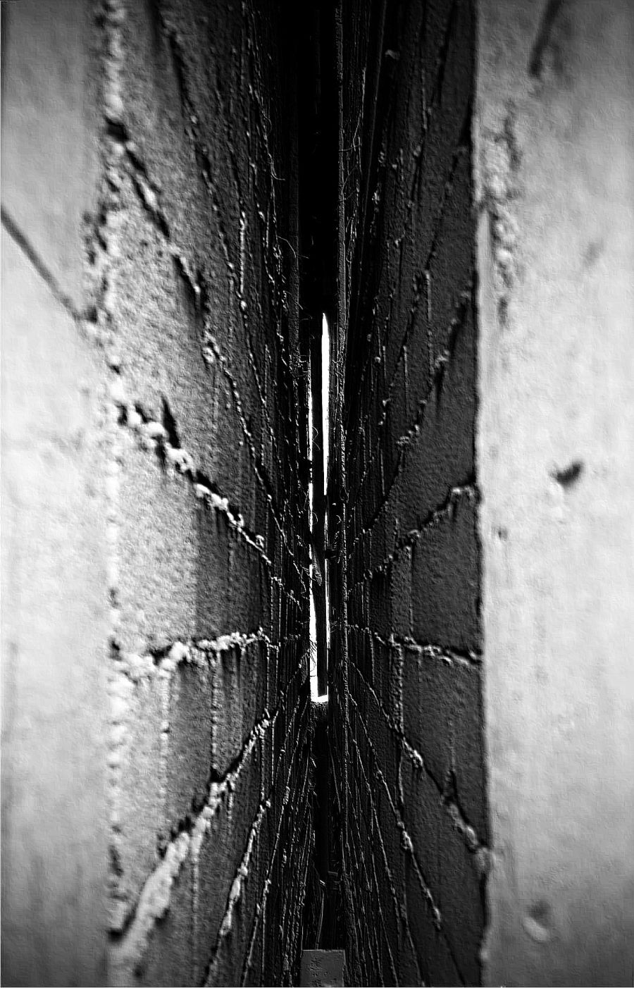 Uitgeschakeld & See Through Buildings